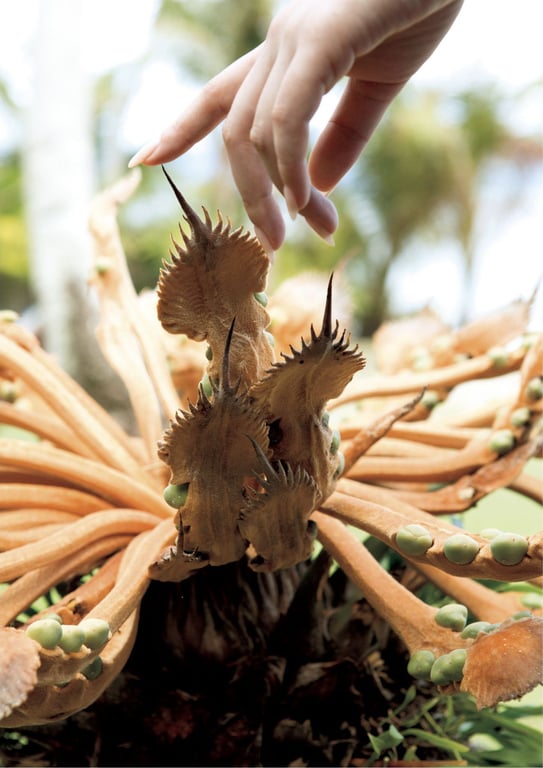 图片[6]-2016.09.14 平塚千瑛首本写真集 『Birth』 - 在线免费观看-阅图吧