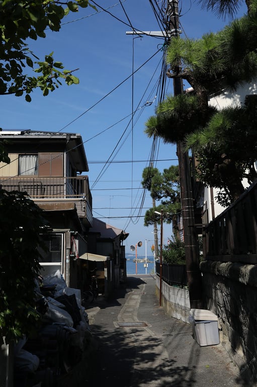 图片[47]-#Yuko Ono 小野夕子 – Shonan woman 湘南的女人 (2019-11-11) - 全本免费在线观看-阅图吧