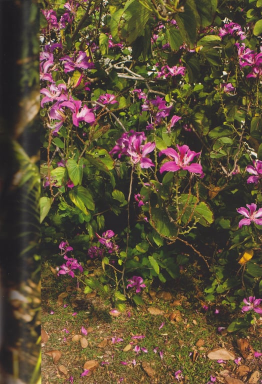 图片[67]-#2010.04.26 Sayumi Michishige 道重沙由美 – La - 全本免费在线观看-阅图吧