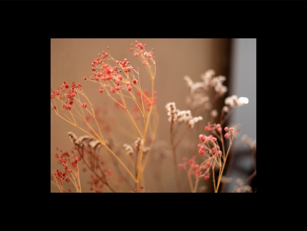 图片[20]-吉根ゆりあ ヌード写真集 実りの季節で - 在线免费观看-阅图吧