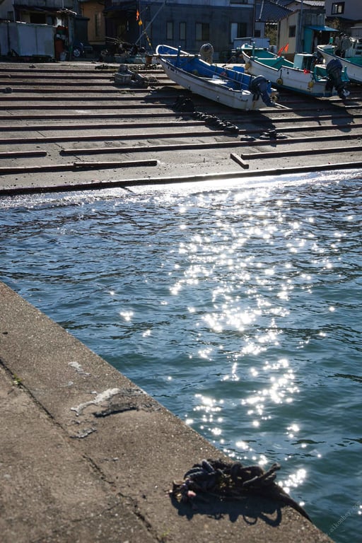 图片[69]-#幼小少女 天然美月【ヌード写真集】 - 全本免费在线观看-阅图吧