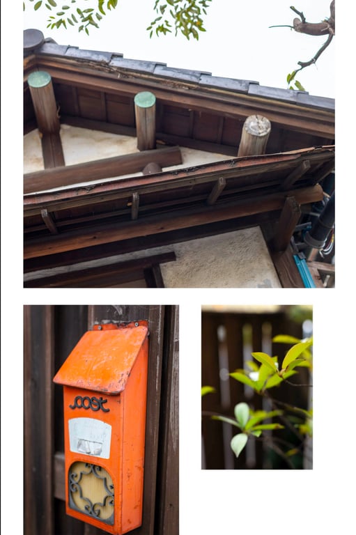 图片[2]-Aoi Mizutani 水谷碧 - Blue sunbeams 蓝色阳光 (2021-12-10) - 在线免费观看-阅图吧