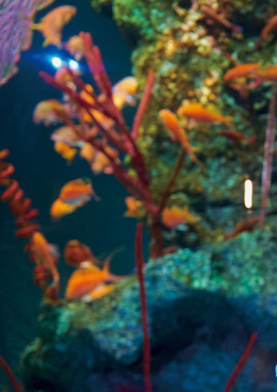 图片[36]-#Rika Nagae 长江里加 – 1st Photobook Recolor (2023-02-22) - 全本免费在线观看-阅图吧