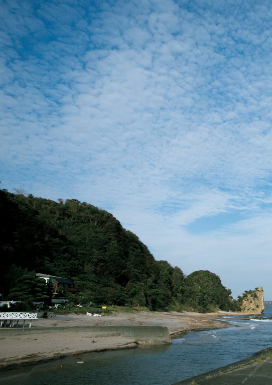 图片[87]-#Miyako Sono 园都 – Hitohira 一片 (2019-12-14) - 全本免费在线观看-阅图吧