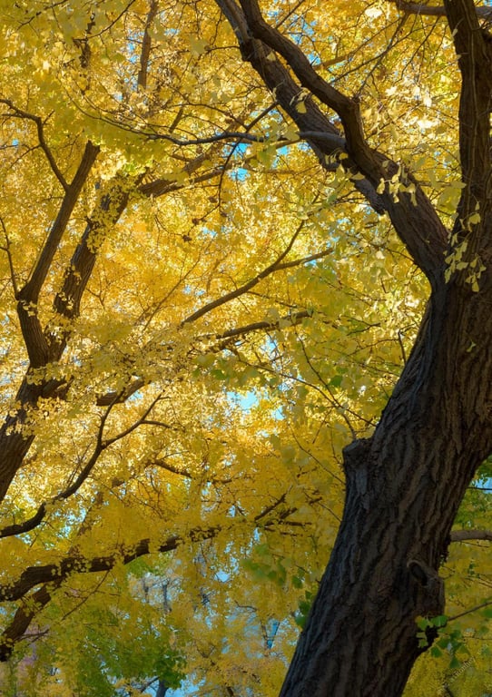 图片[5]-#INORI 花宫祈 1st e-book (Wunder_Publishing_House.) - 全本免费在线观看-阅图吧