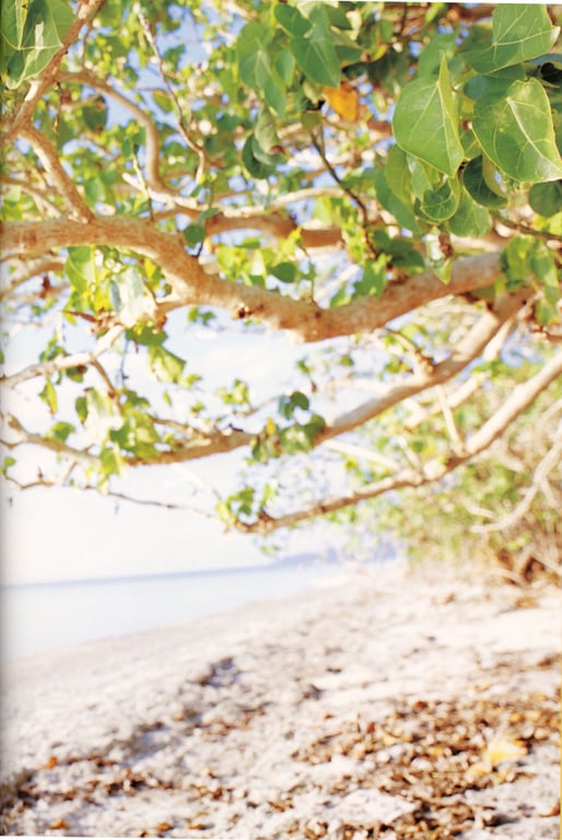 图片[59]-#藤本美貴 – mikitty - 全本免费在线观看-阅图吧