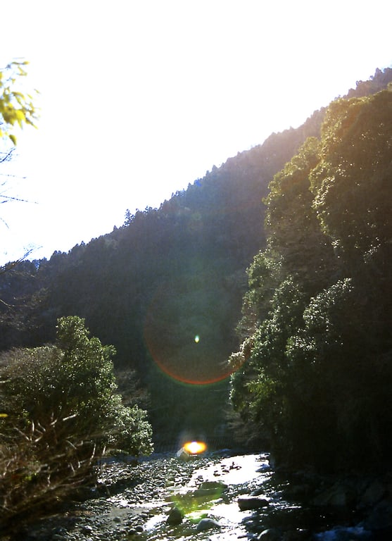 图片[12]-#佐藤江梨子 – 搬家 - 全本免费在线观看-阅图吧