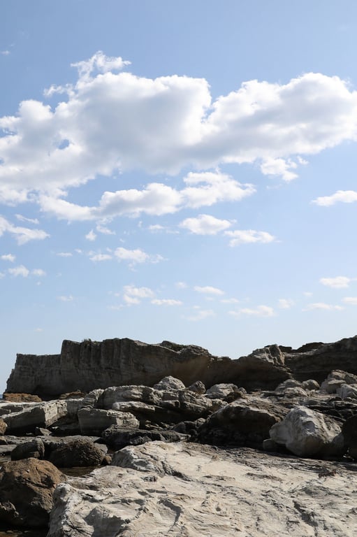 图片[85]-#Tomomi Morisaki 森咲智美 – 1 million boobs 100万人的胸部 (2019-05-27) - 全本免费在线观看-阅图吧