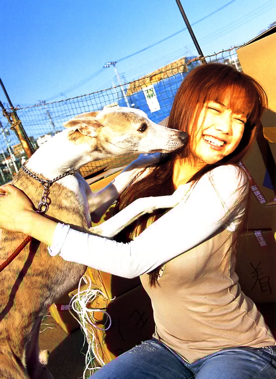 图片[122]-#佐藤江梨子 – 搬家 - 全本免费在线观看-阅图吧