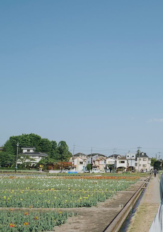 图片[147]-#小岛南 デジタル写真集 とられち(No Watermark) - 全本免费在线观看-阅图吧