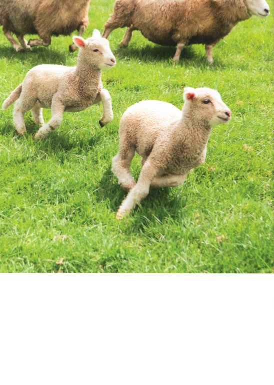 图片[50]-#Miho Watanabe 渡邉美穗 1st Photobook – Hidamari 阳光 (2019-01-17) - 全本免费在线观看-阅图吧