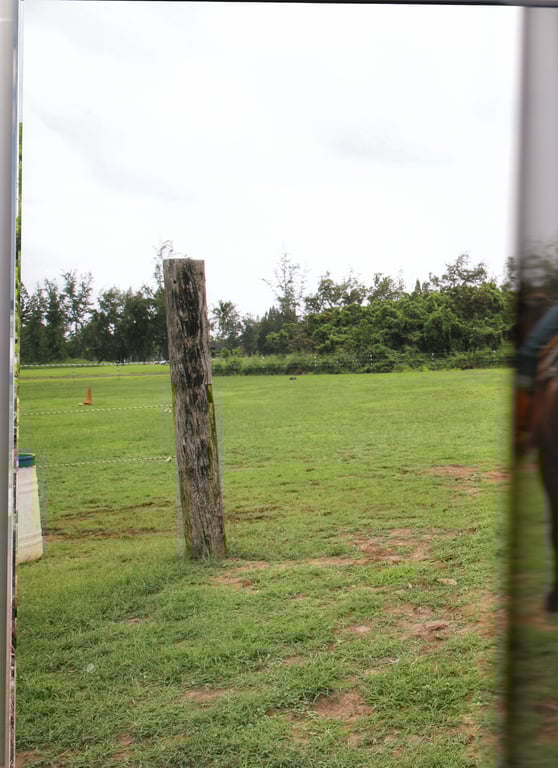 图片[10]-#石川梨華写真集 『华恋』 - 全本免费在线观看-阅图吧