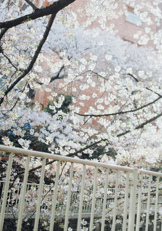 图片[105]-#七ツ森りりデジタル写真集 被拍走(No Watermark) - 全本免费在线观看-阅图吧