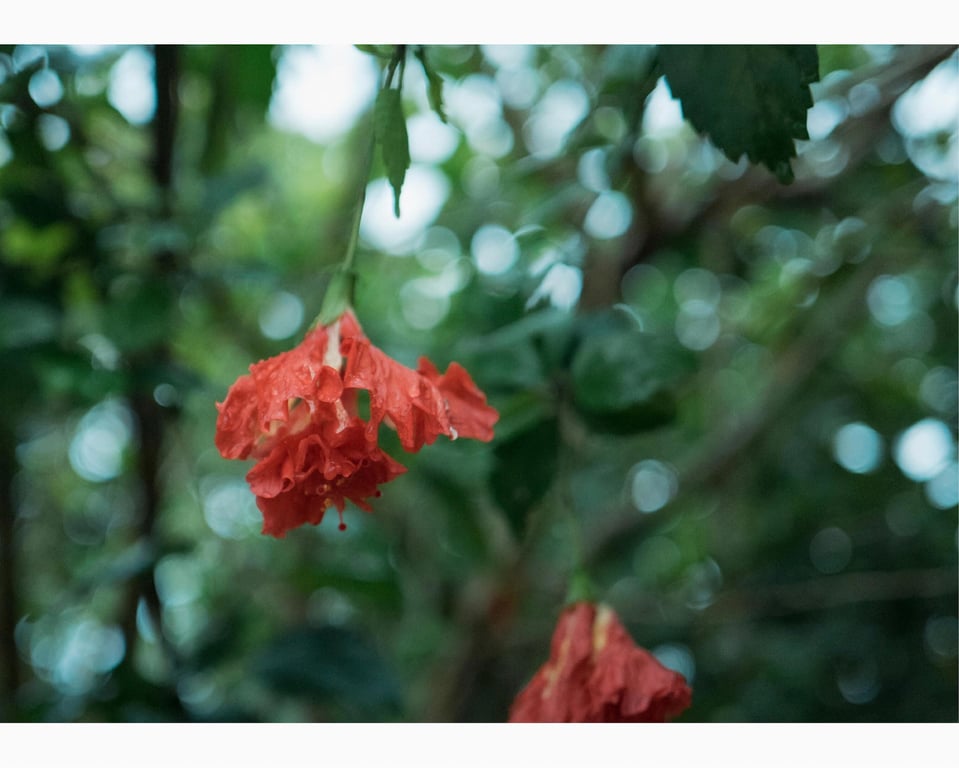 图片[117]-うたたね翠と一泊二日の沖縄旅行へ行ってきました (wunder publishing house) - 在线免费观看-阅图吧