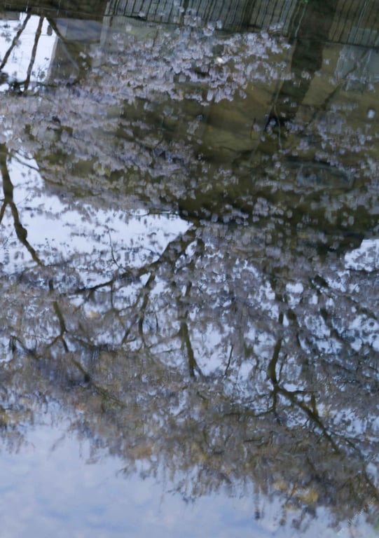 图片[84]-被夺走 小仓七海 - 在线免费观看-阅图吧