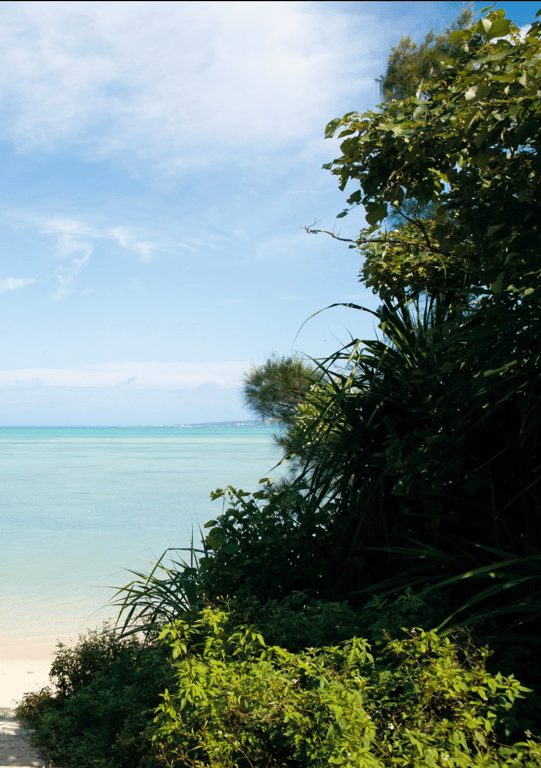 图片[3]-#神宮寺奈绪 写真集「Muse」(alarm) - 全本免费在线观看-阅图吧