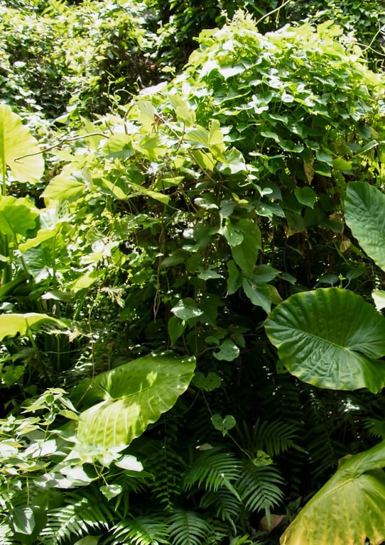 图片[92]-#Ria Yamate 山手梨爱 – 1st Photobook Ria (2022-08-20) - 全本免费在线观看-阅图吧