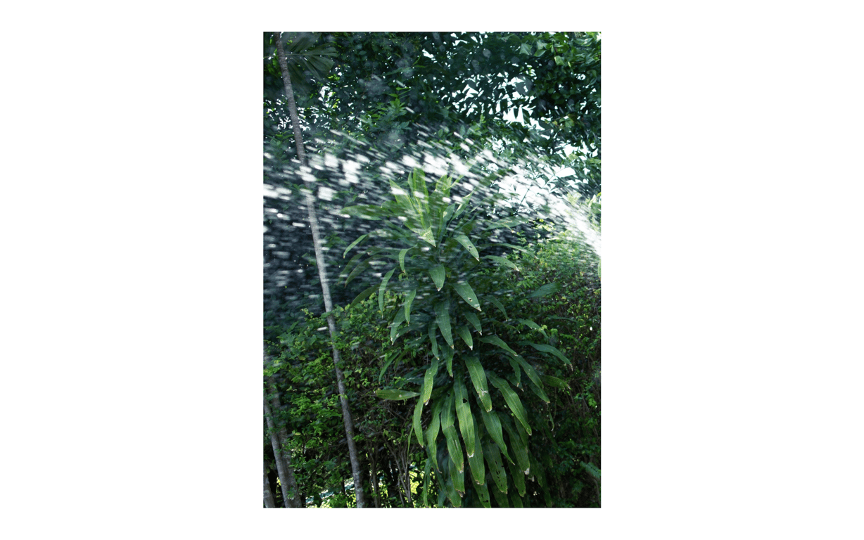 图片[17]-#本田夕歩 写真集 Endless summer - 全本免费在线观看-阅图吧