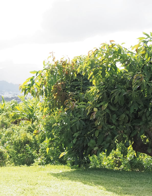 图片[43]-#Tsukasa Aoi -假面舞会- 葵司 アサ芸SEXY Masquerade (2019.09.20) - 全本免费在线观看-阅图吧