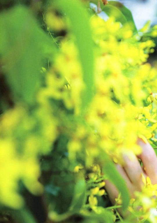 图片[75]-#秋元真夏首本写真集 真夏的气压配置 - 全本免费在线观看-阅图吧