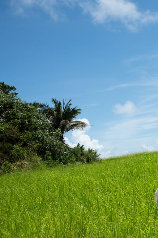 图片[68]-#奈月瀬名写真集『senaisｍ』オール未公開スペシャルＥｄｉｔｉｏｎ １００ページ超完全版 - 全本免费在线观看-阅图吧