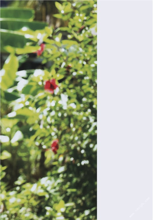 图片[21]-#川島海荷 写真集 青之走廊 - 全本免费在线观看-阅图吧