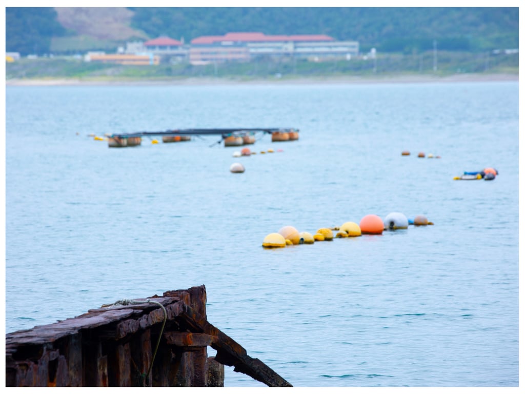 图片[23]-#幼なじみ 渡辺まお ヌード写真集 - 全本免费在线观看-阅图吧