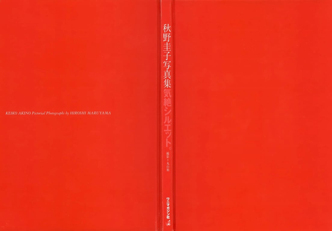 图片[25]-#Keiko Akino 秋野圭子 – Stunning Silhouette 昏厥剪影 - 全本免费在线观看-阅图吧