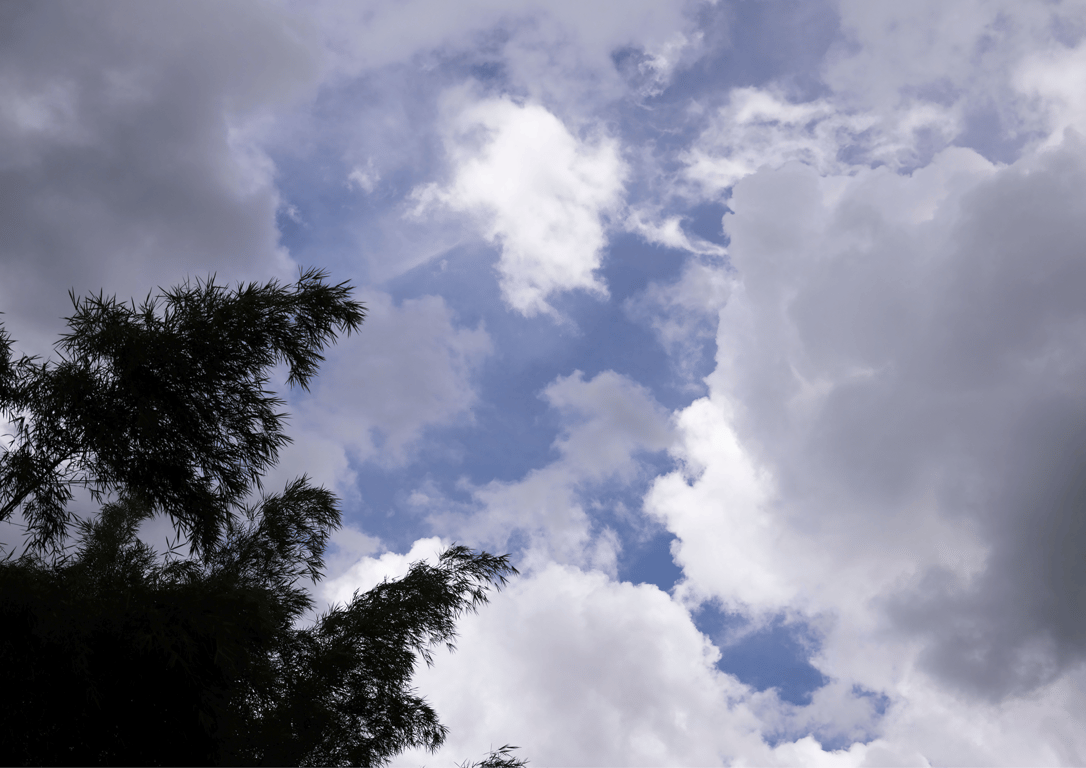 图片[148]-#白間美瑠写真集 MERCI Another Edition [side A] - 全本免费在线观看-阅图吧