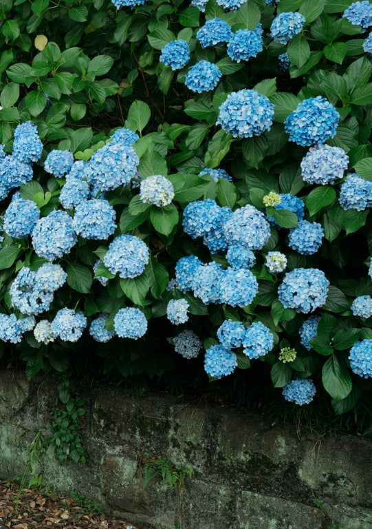 图片[94]-七沢みあ デジタル写真集 とられち(No Watermark) - 阅图吧-阅图吧