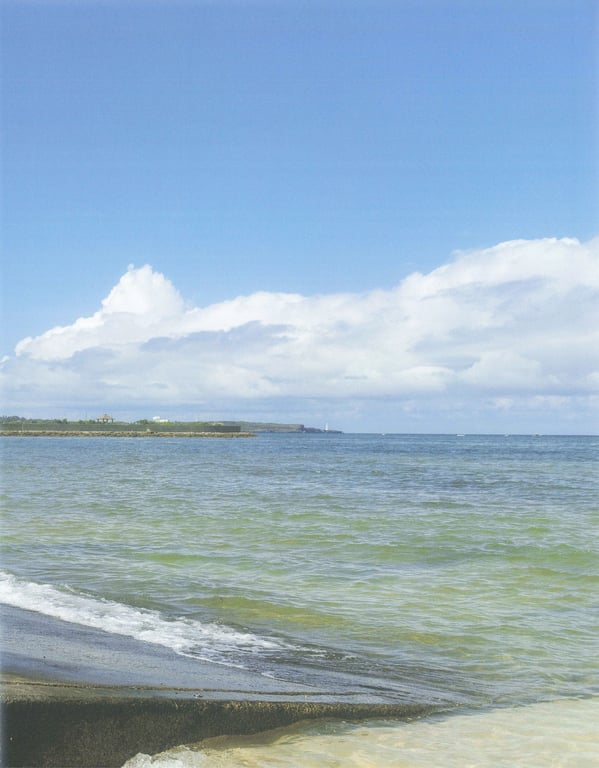 图片[84]-#新井爱瞳1st写真集『Seventeen’s Blue』 - 全本免费在线观看-阅图吧