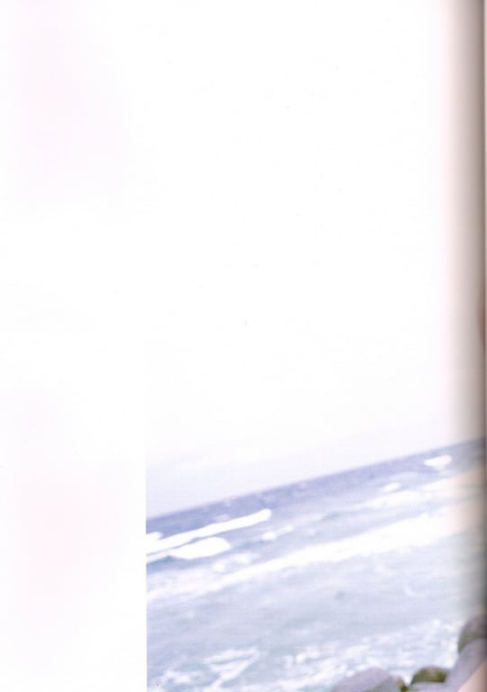 图片[21]-#Minami Minegishi 峯岸南 – South (2008-08-23) - 全本免费在线观看-阅图吧