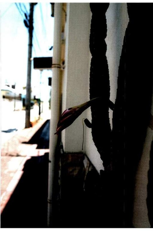 图片[84]-#Mariya Nagao 永尾玛丽亚 – Mabui! Mariya 魂! 玛丽亚。 (2017-10-26) - 全本免费在线观看-阅图吧