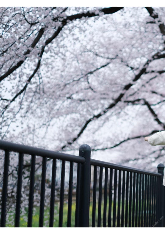 图片[123]-被夺走 小仓七海 - 在线免费观看-阅图吧