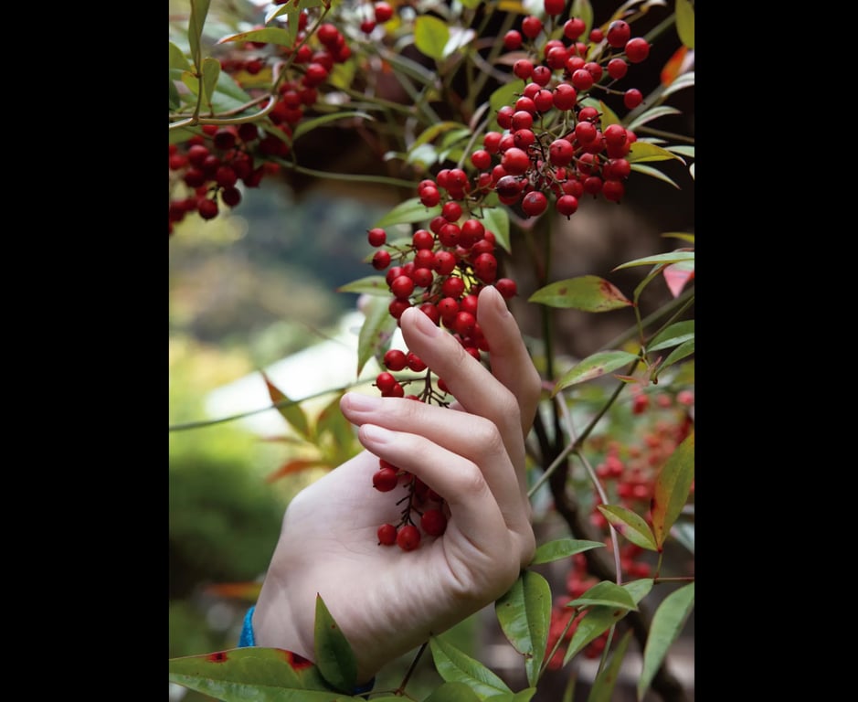 图片[44]-#街山美穗 デジタル写真集 Scarlet - 全本免费在线观看-阅图吧