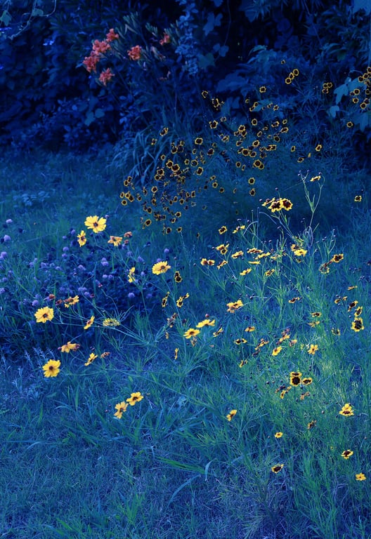 图片[81]-#2023.05.22 安斋拉拉 La La La Love shock 周刊Post数字写真集 - 全本免费在线观看-阅图吧