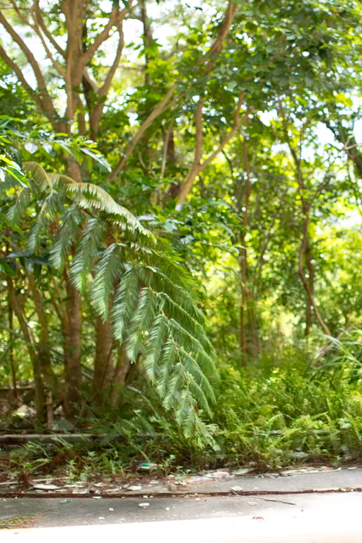 图片[187]-#Riho Fujimori 藤森里穂 Eden 伊甸 (2021.11.12) - 全本免费在线观看-阅图吧