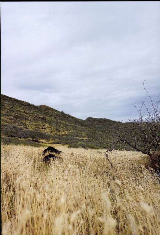 图片[10]-2023.10.30 早安少女组.'23 谱久村圣 最后写真集 『 LAST SCENE 』 - 在线免费观看-阅图吧