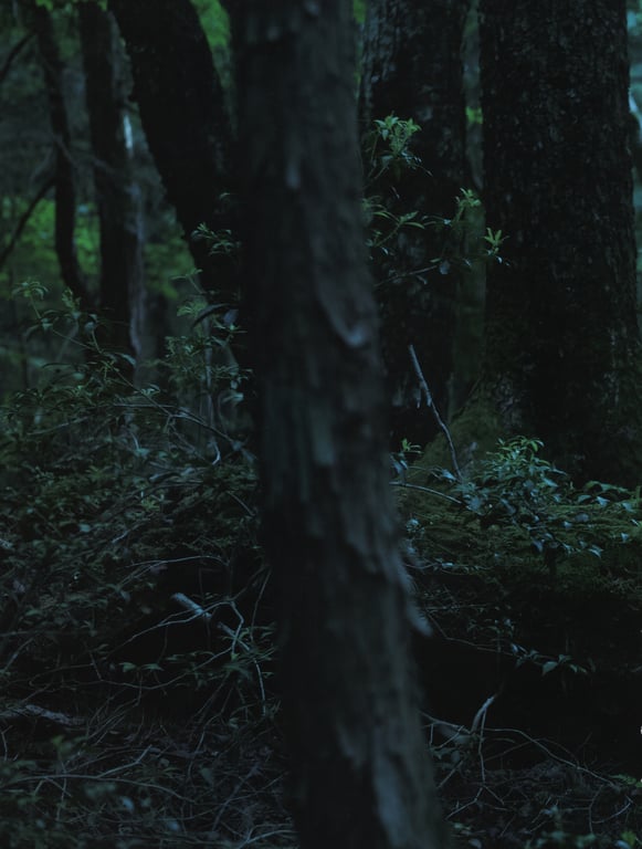 图片[10]-#欅坂46 首本写真集 『21人的未完成』\Oda - 全本免费在线观看-阅图吧