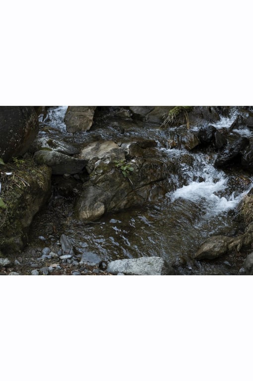 图片[33]-#謎の美女17『一片之舞』ファースト写真集 - 全本免费在线观看-阅图吧