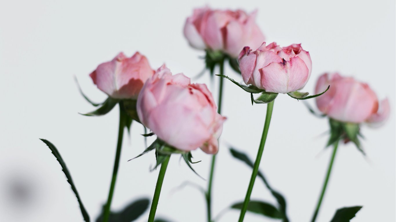 图片[9]-#Masami Nagasawa 长泽雅美 IQUEEN Vol.11 - 全本免费在线观看-阅图吧