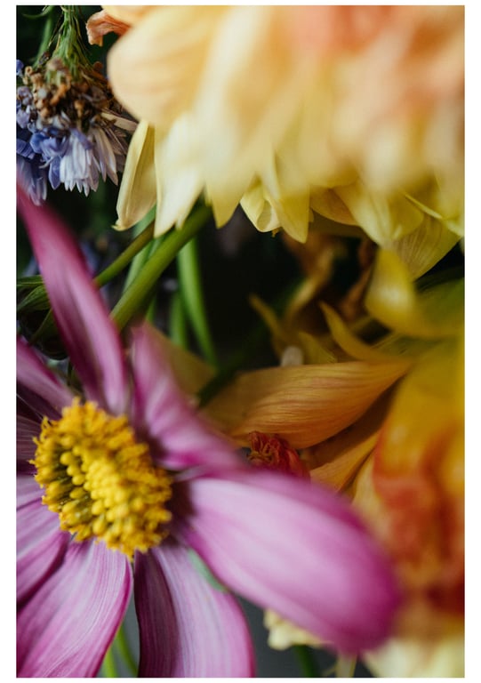 图片[134]-#山岸逢花 デジタル写真集 とられち(No Watermark) - 全本免费在线观看-阅图吧