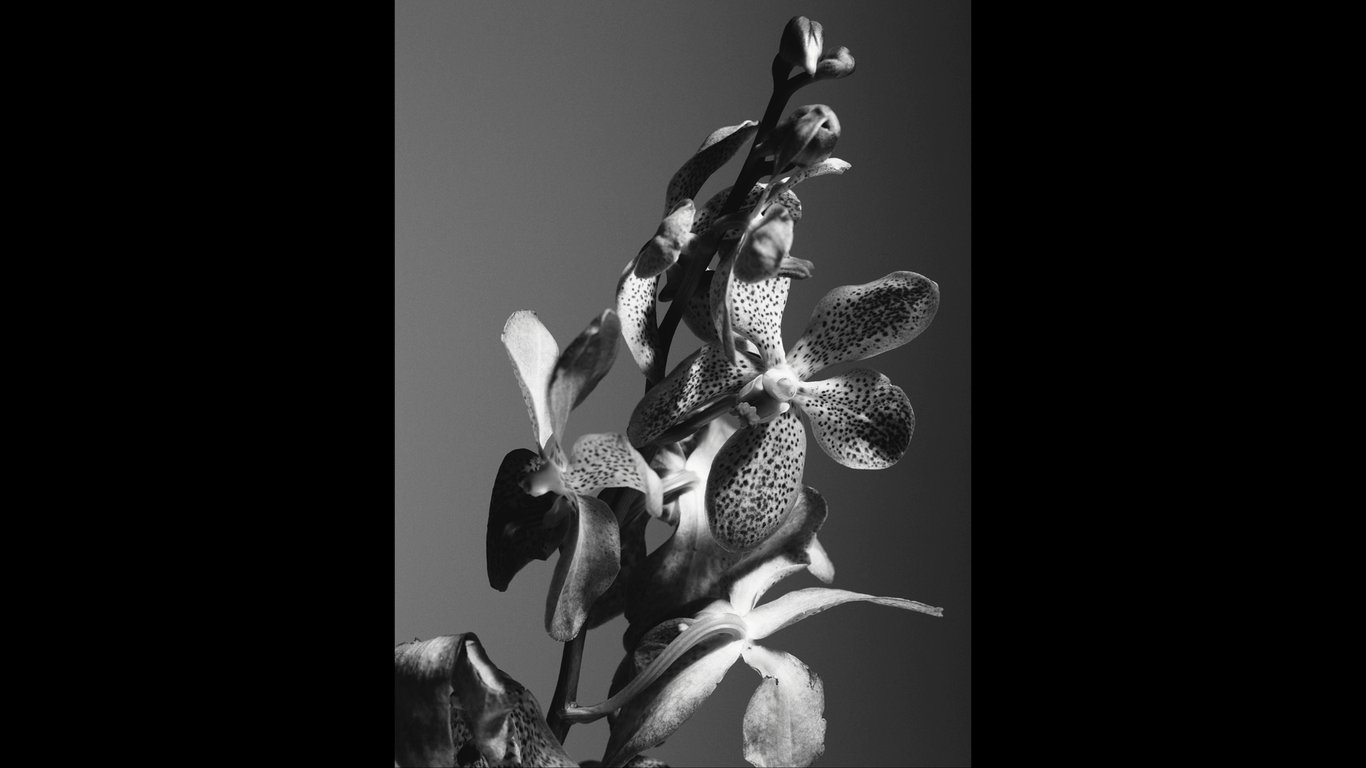 图片[28]-#Masami Nagasawa 长泽雅美 IQUEEN Vol.11 - 全本免费在线观看-阅图吧