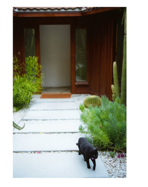 图片[54]-Mai Shiraishi 白石麻衣 - Passport 护照 (3rd scan) - 在线免费观看-阅图吧