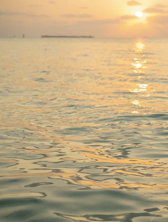 图片[85]-Cocona Asakura 朝仓心名 - Daydream 白日梦 (2022-04-27)白日梦 朝仓心名写真集 朝艺SEXY女优写真集 - 在线免费观看-阅图吧