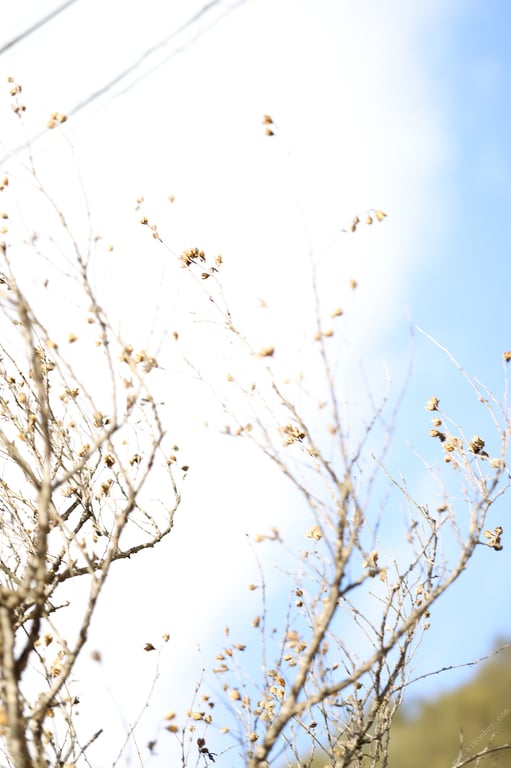 图片[5]-つばさ舞×藤かんな 今夜、私はあなたのしもべ 週刊ポストデジタル写真集(2023-03-31) - 在线免费观看-阅图吧