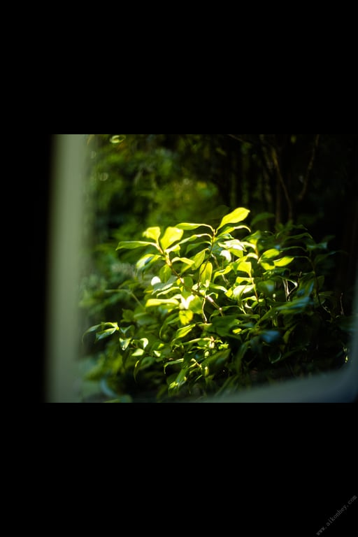 图片[13]-#めぞん夕刻～エッチな管理人～ 鈴木真夕【ヘアヌード写真集】(2021-09-03) - 全本免费在线观看-阅图吧