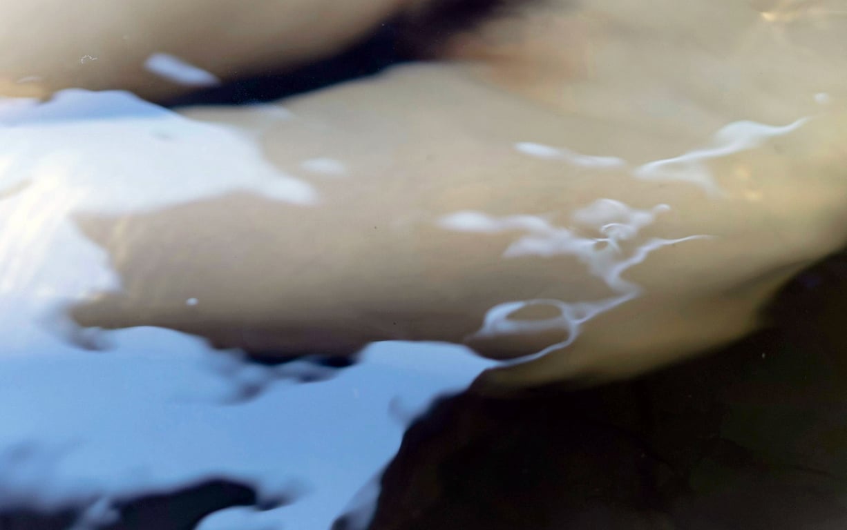 图片[201]-#七菜乃 裸体写真集『Dream』 - 全本免费在线观看-阅图吧