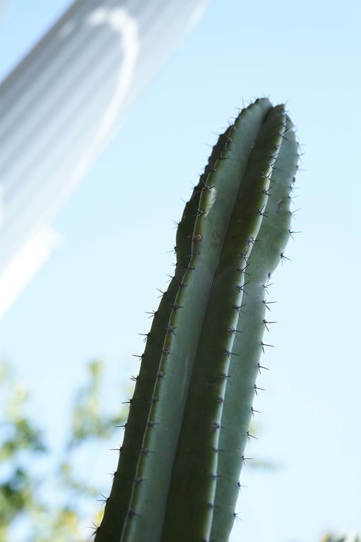 图片[53]-#Tsubasa Hazuki 叶月翼 – Dangerous baby face 危险娃娃脸 ＡＬＬ未公开完全版 ＲＥＤ (2019-08-16) - 全本免费在线观看-阅图吧