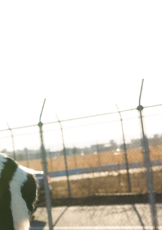 图片[35]-#Moka Hashimoto 桥本萌花 – It’s all 全部哟 (2021-02-10) - 全本免费在线观看-阅图吧